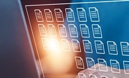 Multiple Output Formats