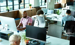 entrepreneurs and professionals