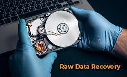 raw data recovery
